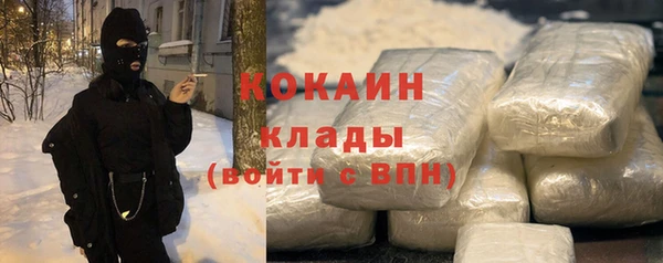 индика Володарск