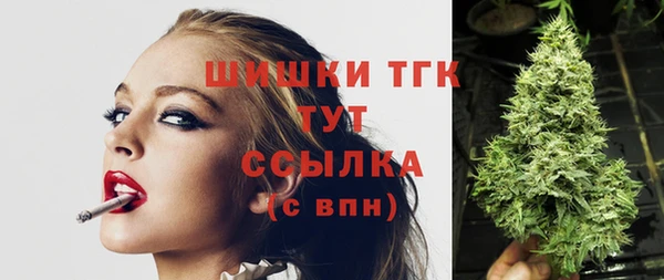 индика Володарск