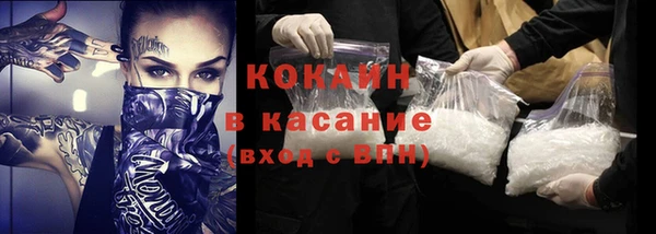 индика Володарск