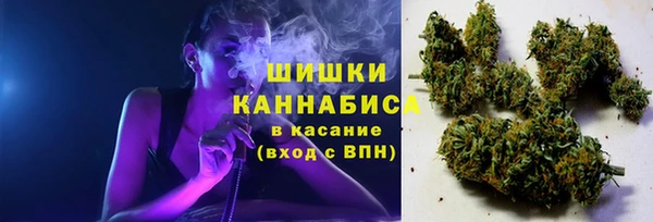 индика Володарск