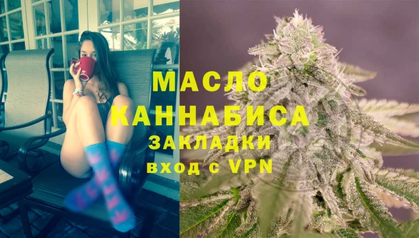 индика Володарск