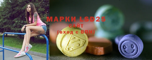 индика Володарск