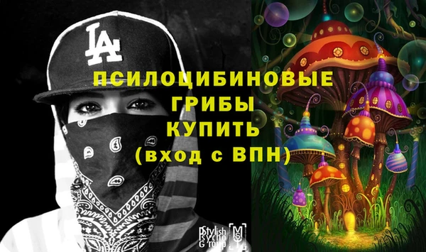 индика Володарск