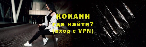 индика Володарск