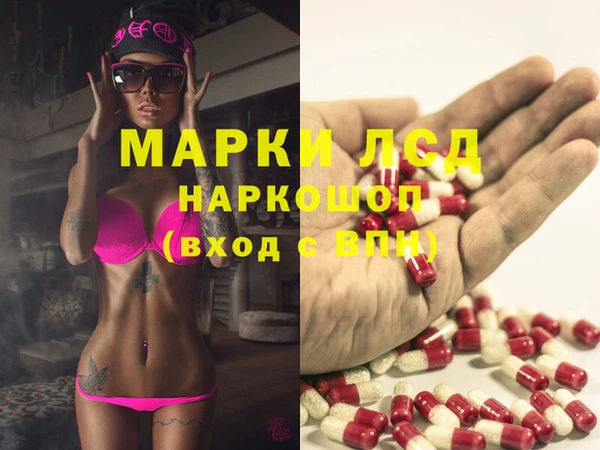 индика Володарск