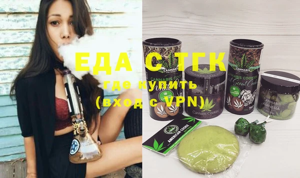 индика Володарск