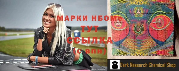 индика Володарск