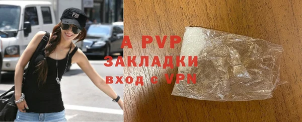индика Володарск