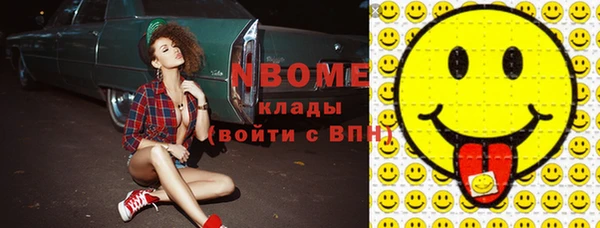 индика Володарск