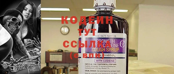 индика Володарск