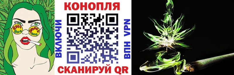 наркота Городище Бошки Шишки марихуана